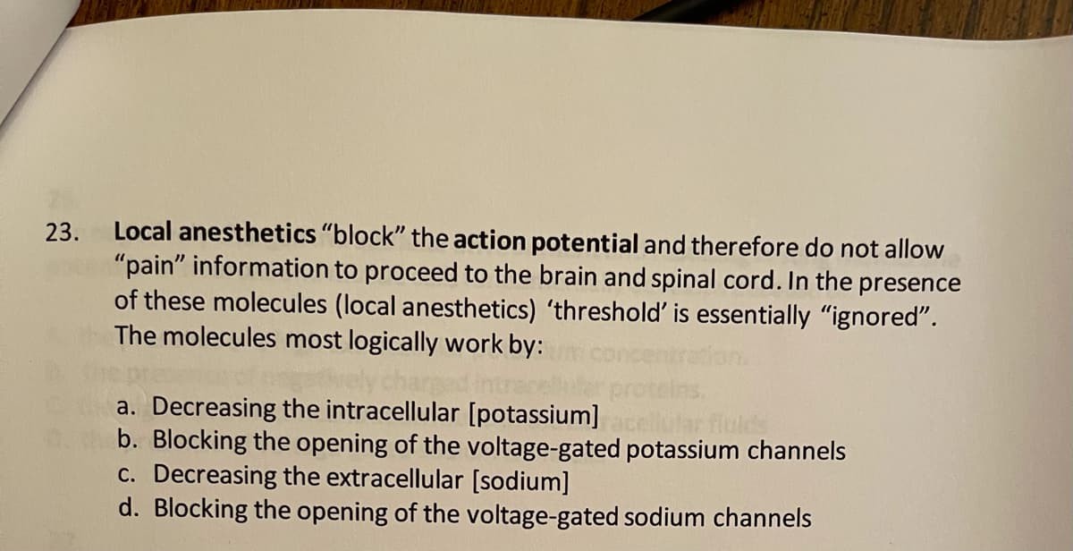 Local anesthetics "block" the action potential and therefore do not allow
"pain" information to proceed to the brain and spinal cord. In the presence
of these molecules (local anesthetics) 'threshold' is essentially "ignored".
The molecules most logically work by:
23.
a. Decreasing the intracellular [potassium]
b. Blocking the opening of the voltage-gated potassium channels
c. Decreasing the extracellular [sodium]
d. Blocking the opening of the voltage-gated sodium channels
