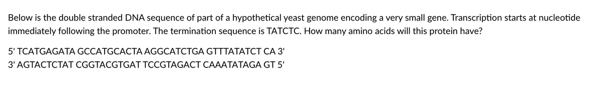 Below is the double stranded DNA sequence of part of a hypothetical yeast genome encoding a very small gene. Transcription starts at nucleotide
immediately following the promoter. The termination sequence is TATCTC. How many amino acids will this protein have?
5' TCATGAGATA GCCATGCACTA AGGCATCTGA GTTTATATCT CA 3'
3' AGTACTCTAT CGGTACGTGAT TCCGTAGACT CAAATATAGA GT 5'
