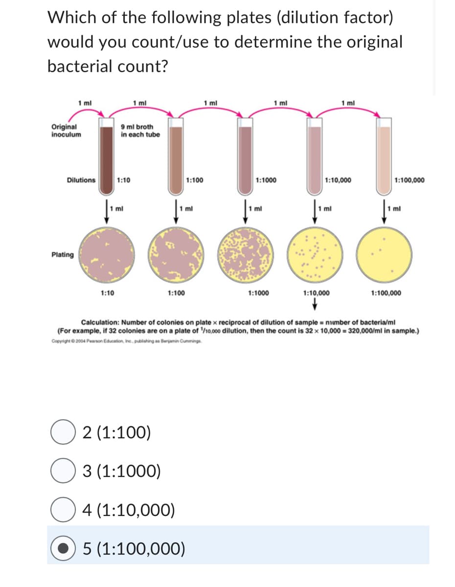 Which of the following plates (dilution factor)
would you count/use to determine the original
bacterial count?
1 ml
Original
inoculum
Dilutions
Plating
1:10
9 ml broth
in each tube
1:10
1 ml
1 ml
1 ml
1:100
1 ml
1:100
2 (1:100)
3 (1:1000)
4 (1:10,000)
5 (1:100,000)
1:1000
1 ml
1 ml
1:1000
1:10,000
1 ml
1 ml
1:10,000
1:100,000
1 ml
1:100,000
Calculation: Number of colonies on platex reciprocal of dilution of sample=number of bacteria/ml
(For example, if 32 colonies are on a plate of 1/10,000 dilution, then the count is 32 x 10,000 = 320,000/ml in sample.)
Copyright © 2004 Pearson Education, Inc., publishing as Benjamin Cummings