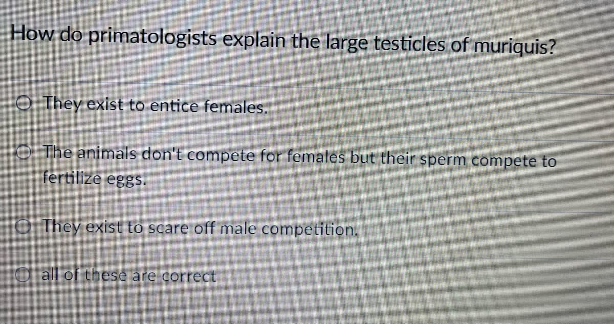 How do primatologists explain the large testicles of muriquis?
O They exist to entice females.
O The animals don't compete for females but their sperm compete to
fertilize eggs.
O They exist to scare off male competition.
O all of these are correct
