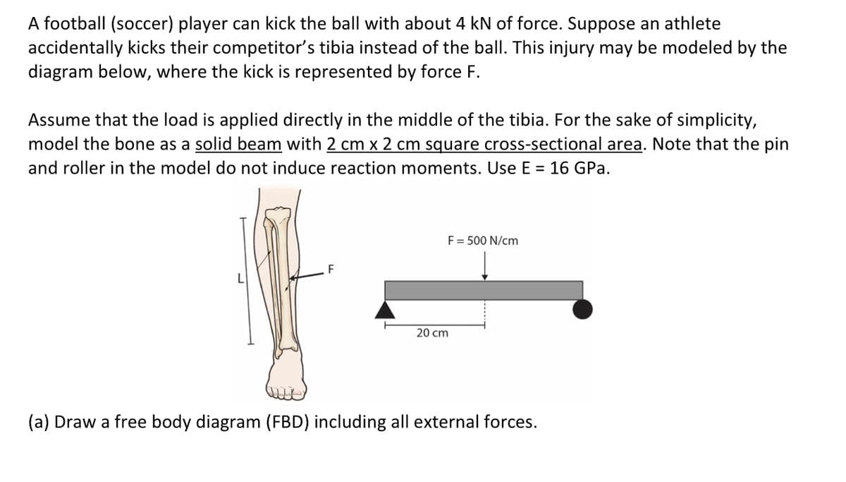 A football (soccer) player can kick the ball with about 4 kN of force. Suppose an athlete
accidentally kicks their competitor's tibia instead of the ball. This injury may be modeled by the
diagram below, where the kick is represented by force F.
Assume that the load is applied directly in the middle of the tibia. For the sake of simplicity,
model the bone as a solid beam with 2 cm x 2 cm square cross-sectional area. Note that the pin
and roller in the model do not induce reaction moments. Use E = 16 GPa.
F = 500 N/cm
20 cm
(a) Draw a free body diagram (FBD) including all external forces.