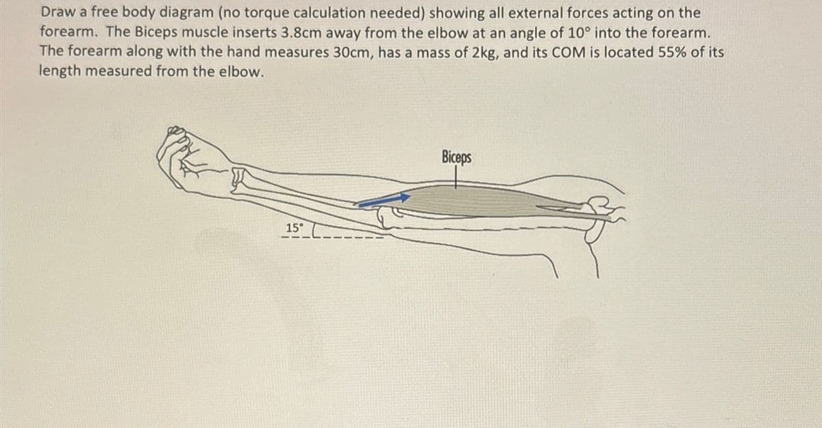 Draw a free body diagram (no torque calculation needed) showing all external forces acting on the
forearm. The Biceps muscle inserts 3.8cm away from the elbow at an angle of 10° into the forearm.
The forearm along with the hand measures 30cm, has a mass of 2kg, and its COM is located 55% of its
length measured from the elbow.
15°
Biceps
