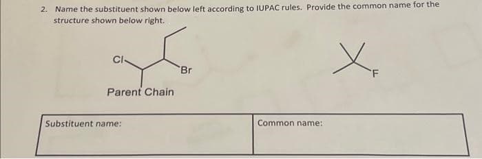 yo
2. Name the substituent shown below left according to IUPAC rules. Provide the common name for the
structure shown below right.
CI-
Parent Chain
Substituent name:
'Br
Common name: