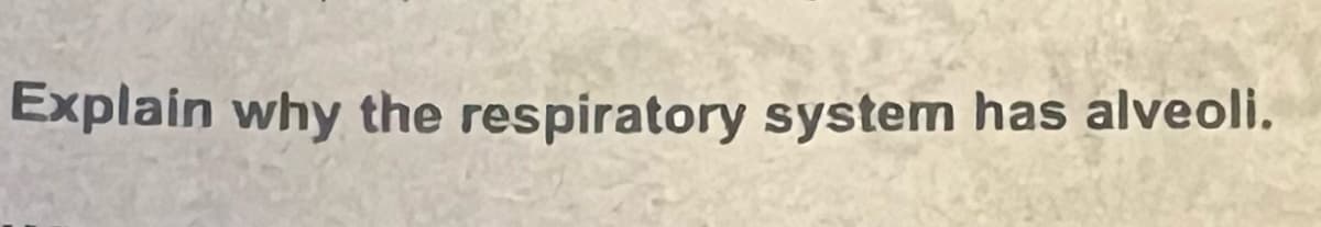 Explain why the respiratory system has alveoli.