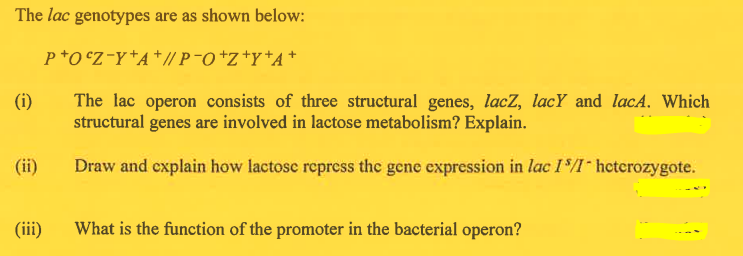 The lac genotypes are as shown below:
P+OcZ-Y+A+// P¬O+Z+Y+A+
(i)
The lac operon consists of three structural genes, lacZ, lacY and lacA. Which
structural genes are involved in lactose metabolism? Explain.
(ii)
Draw and explain how lactose repress the gene expression in lac 15/1 heterozygote.
(iii)
What is the function of the promoter in the bacterial operon?