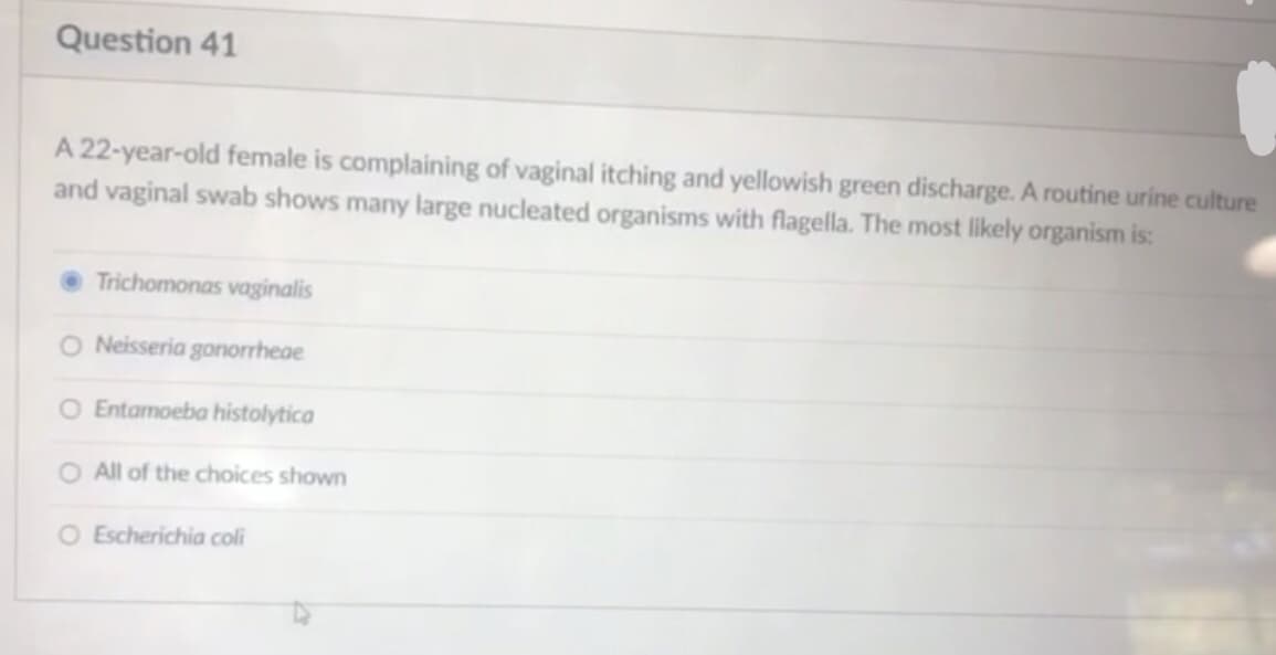 Question 41
A 22-year-old female is complaining of vaginal itching and yellowish green discharge. A routine urine culture
and vaginal swab shows many large nucleated organisms with flagella. The most likely organism is:
Trichomonas vaginalis
Neisseria gonorrheae
O Entamoeba histolytica
O All of the choices shown
O Escherichia coli
