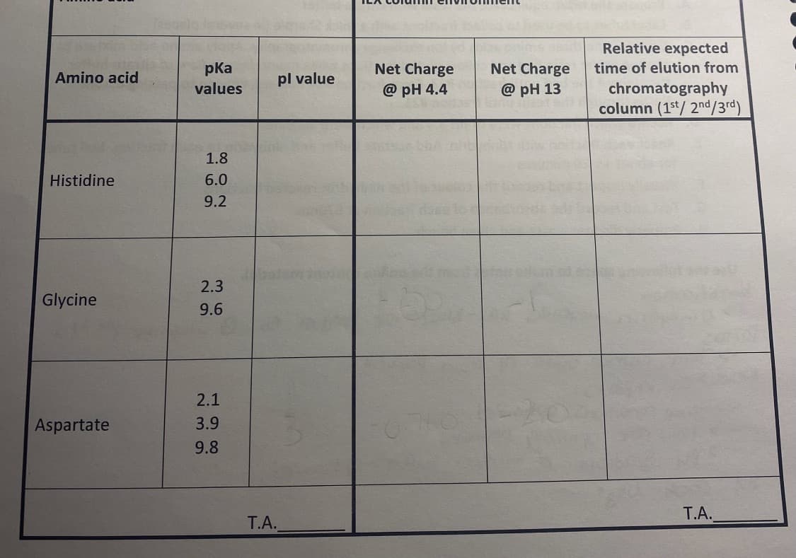 Amino acid
Histidine
Glycine
Aspartate
pka
values
1.8
6.0
9.2
2.3
9.6
2.1
3.9
9.8
T.A.
pl value
Net Charge
@pH 4.4
Net Charge
@pH 13
Relative expected
time of elution from
chromatography
column (1st/2nd/3rd)
T.A.