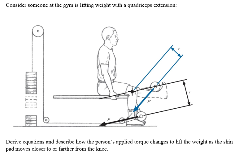 Consider someone at the gym is lifting weight with a quadriceps extension:
Derive equations and describe how the person's applied torque changes to lift the weight as the shin
pad moves closer to or farther from the knee.

