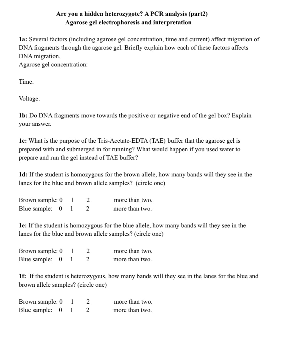 Are you a hidden heterozygote? A PCR analysis (part2)
Agarose gel electrophoresis and interpretation
la: Several factors (including agarose gel concentration, time and current) affect migration of
DNA fragments through the agarose gel. Briefly explain how each of these factors affects
DNA migration.
Agarose gel concentration:
Time:
Voltage:
1b: Do DNA fragments move towards the positive or negative end of the gel box? Explain
your answer.
1c: What is the purpose of the Tris-Acetate-EDTA (TAE) buffer that the agarose gel is
prepared with and submerged in for running? What would happen if you used water to
prepare and run the gel instead of TAE buffer?
1d: If the student is homozygous for the brown allele, how many bands will they see in the
lanes for the blue and brown allele samples? (circle one)
Brown sample: 0
Blue sample:
1
2
more than two.
1
2
more than two.
le: If the student is homozygous for the blue allele, how many bands will they see in the
lanes for the blue and brown allele samples? (circle one)
Brown sample: 0
Blue sample: 0
1
2
more than two.
1
2
more than two.
1f: If the student is heterozygous, how many bands will they see in the lanes for the blue and
brown allele samples? (circle one)
Brown sample: 0
1
more than two.
Blue sample: 0
1
more than two.
