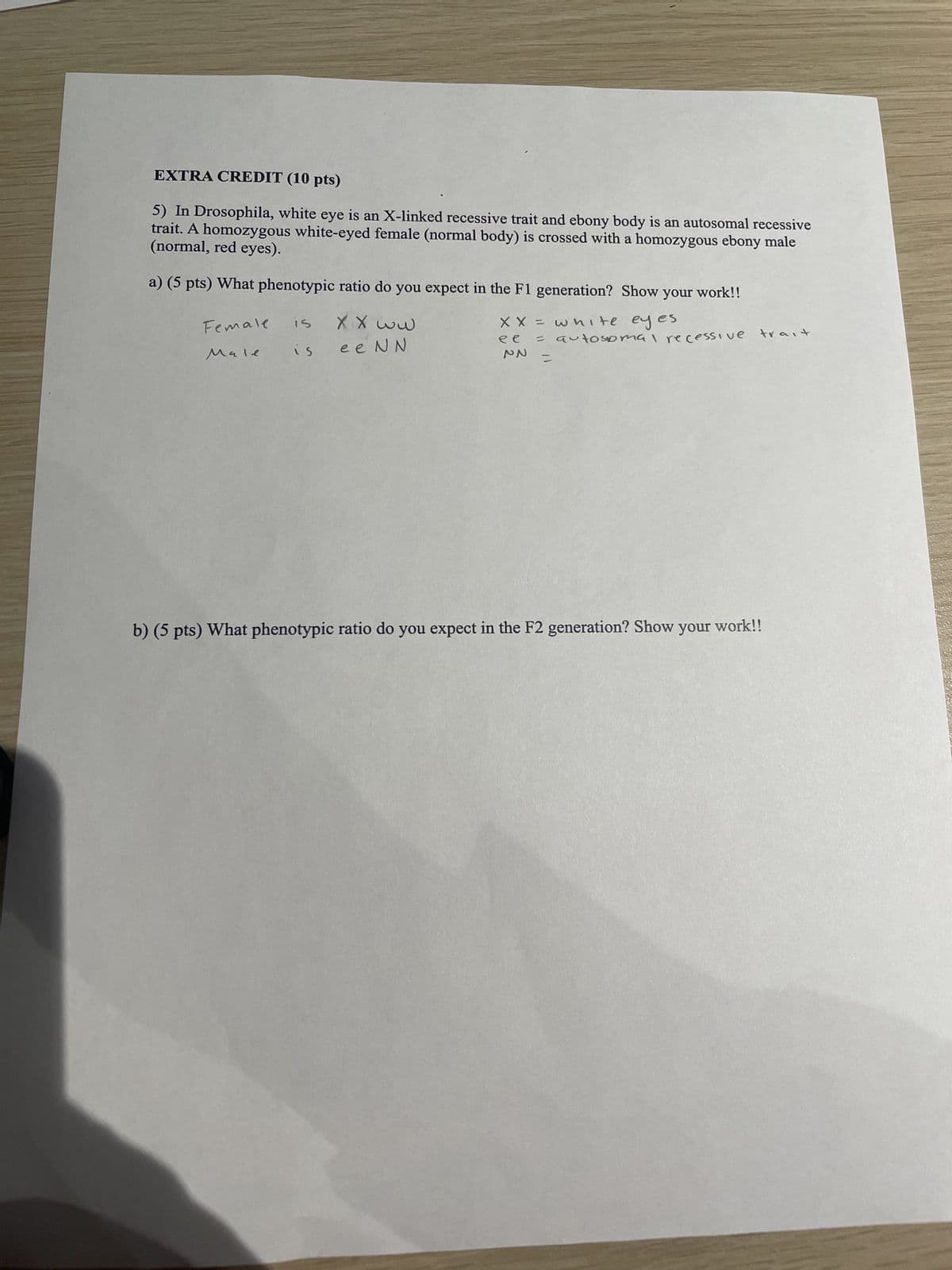 EXTRA CREDIT (10 pts)
5) In Drosophila, white eye is an X-linked recessive trait and ebony body is an autosomal recessive
(normal, red eyes).
trait. A homozygous white-eyed female (normal body) is crossed with a homozygous ebony male
a) (5 pts) What phenotypic ratio do you expect in the F1 generation? Show your work!!
Female
Male
15
xx ww
is eeNN
XX = white eyes.
ee
PN
= autosomal recessive trait
=
b) (5 pts) What phenotypic ratio do you expect in the F2 generation? Show
your work!!