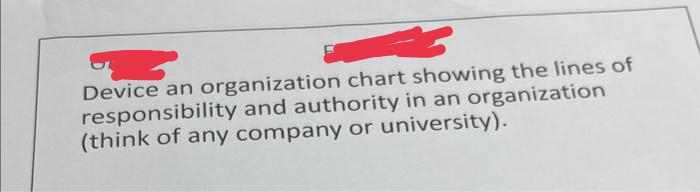 Device an organization chart showing the lines of
responsibility and authority in an organization
(think of any company or university).