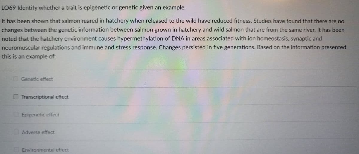 LO69 Identify whether a trait is epigenetic or genetic given an example.
It has been shown that salmon reared in hatchery when released to the wild have reduced fitness. Studies have found that there are no
changes between the genetic information between salmon grown in hatchery and wild salmon that are from the same river. It has been
noted that the hatchery environment causes hypermethylation of DNA in areas associated with ion homeostasis, synaptic and
neuromuscular regulations and immune and stress response. Changes persisted in five generations. Based on the information presented
this is an example of:
Genetic effect
Transcriptional effect
Epigenetic effect
Adverse effect
Environmental effect