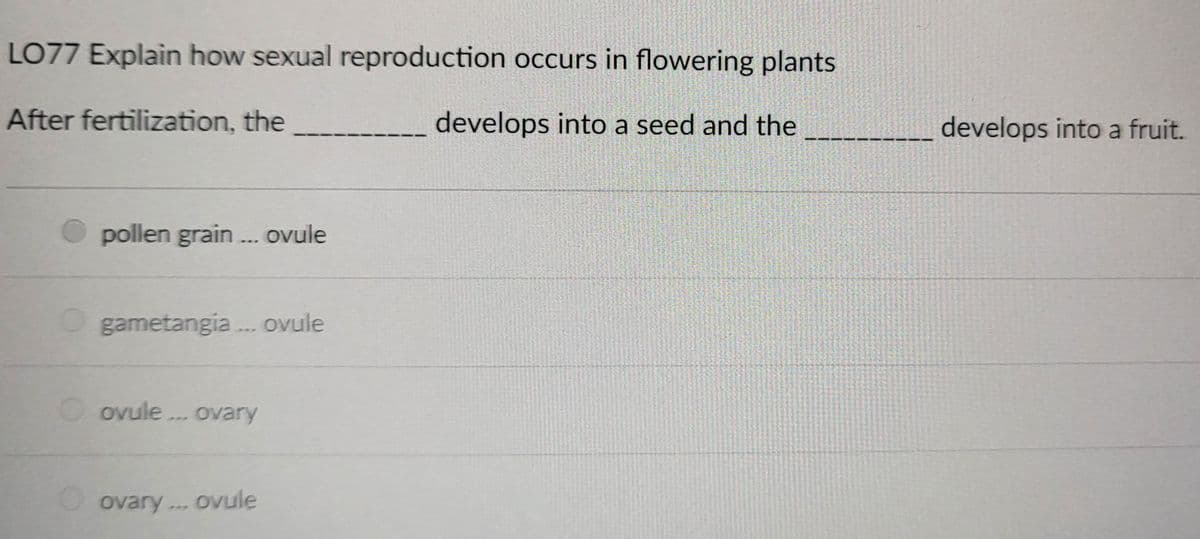 LO77 Explain how sexual reproduction occurs in flowering plants
After fertilization, the
develops into a seed and the
pollen grain... ovule
gametangia... ovule
ovule... ovary
ovary... ovule
develops into a fruit.