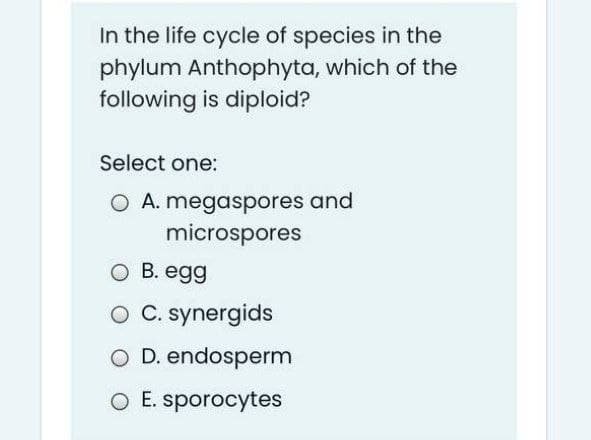 In the life cycle of species in the
phylum Anthophyta, which of the
following is diploid?
Select one:
O A. megaspores and
microspores
O B. egg
O C. synergids
O D. endosperm
O E. sporocytes
