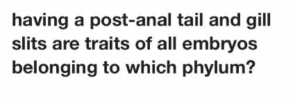 having a post-anal tail and gill
slits are traits of all embryos
belonging to which phylum?
