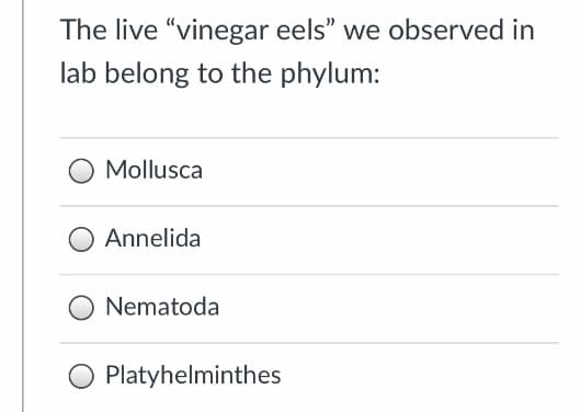 The live "vinegar eels" we observed in
lab belong to the phylum:
Mollusca
Annelida
Nematoda
Platyhelminthes
