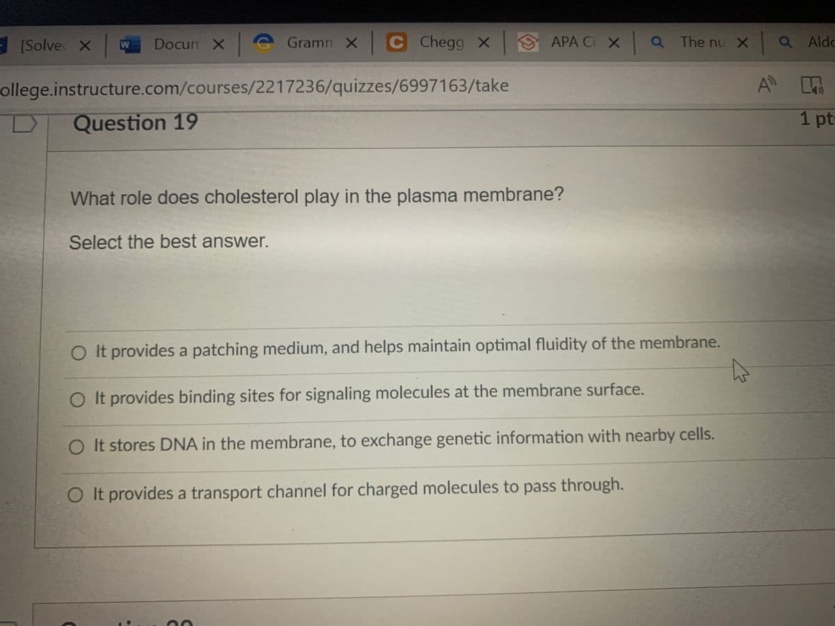 (Solve X
Docum X G
G Gramn X C Chegg X
S APA Ci X Q The nu X Q Aldo
W
ollege.instructure.com/courses/2217236/quizzes/6997163/take
A
Question 19
1 pts
What role does cholesterol play in the plasma membrane?
Select the best answer.
O It provides a patching medium, and helps maintain optimal fluidity of the membrane.
OIt provides binding sites for signaling molecules at the membrane surface.
OIt stores DNA in the membrane, to exchange genetic information with nearby cells.
OIt provides a transport channel for charged molecules to pass through.

