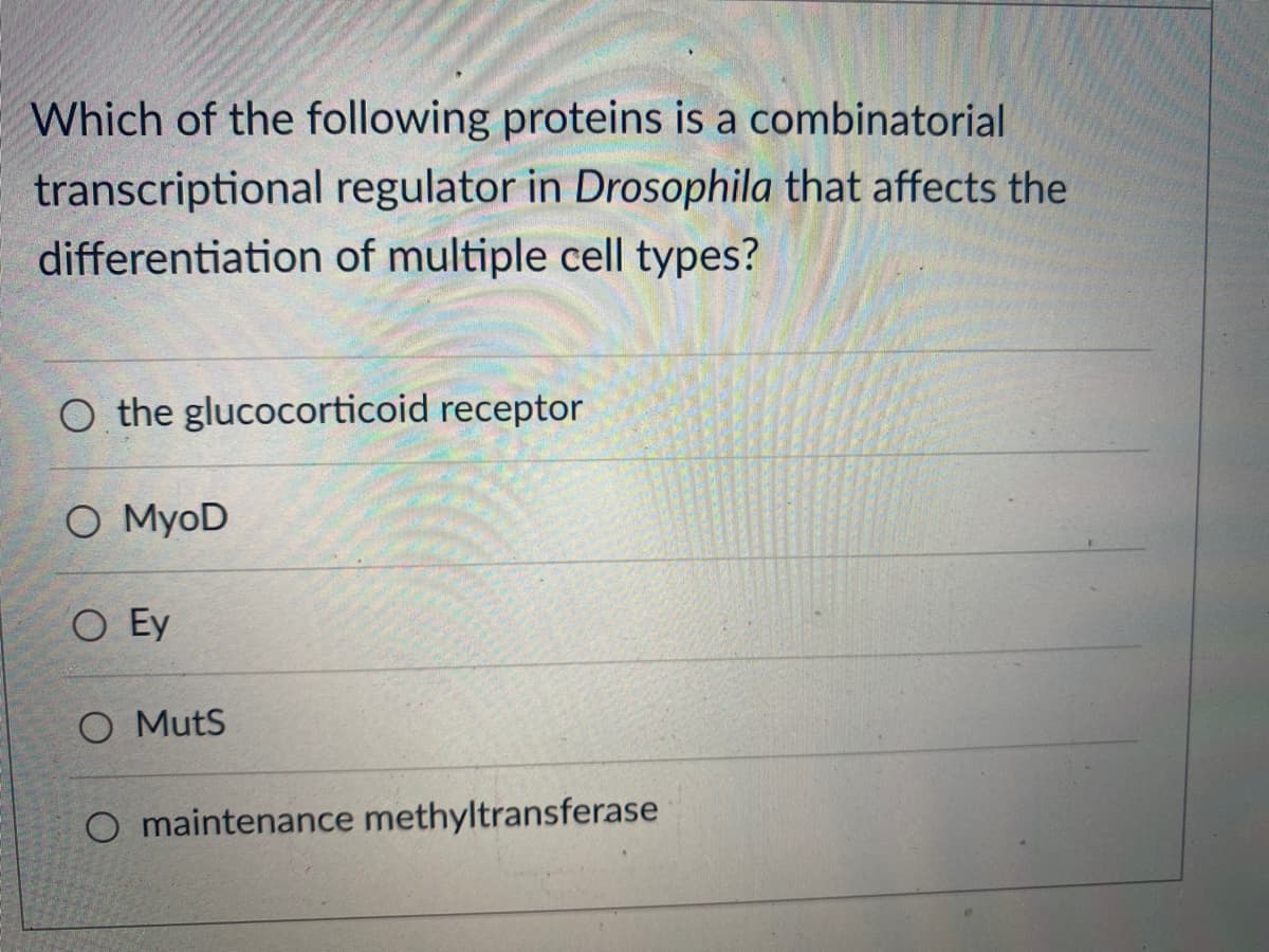 Which of the following proteins is a combinatorial
transcriptional regulator in Drosophila that affects the
differentiation of multiple cell types?
O the glucocorticoid receptor
O MyoD
O Ey
O Muts
O maintenance methyltransferase