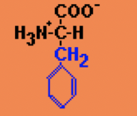 соо
H3N-CH
CH2
CO
