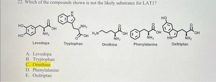 22. Which of the compounds shown is not the likely substrates for LATI?
ں میں 20
HO
HO
NH₂
Levodopa
OH
A. Levodopa
B. Tryptophan
C. Ornithine
D. Phenylalanine
E. Oxitriptan
NH₂
OH
Tryptophan
H₂N
NH₂
Ornithine
OH
NH₂
OH
Phenylalanine
HO
HN
NH₂
Oxitriptan
OH