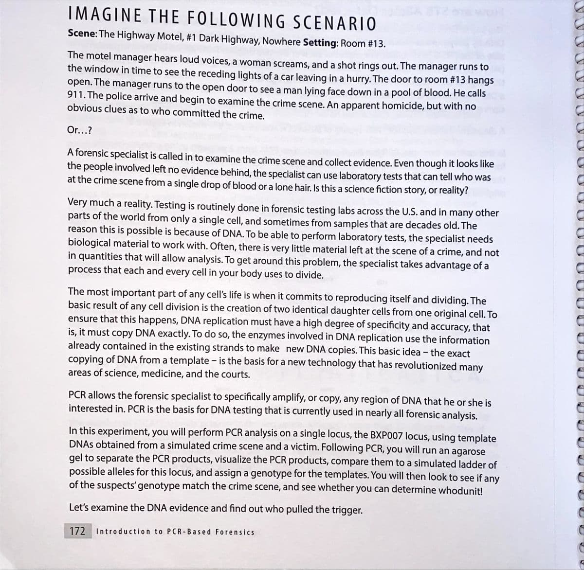 IMAGINE THE FOLLOWING SCENARIO
Scene: The Highway Motel, #1 Dark Highway, Nowhere Setting: Room #13.
The motel manager hears loud voices, a woman screams, and a shot rings out. The manager runs to
the window in time to see the receding lights of a car leaving in a hurry. The door to room #13 hangs
open. The manager runs to the open door to see a man lying face down in a pool of blood. He calls
911. The police arrive and begin to examine the crime scene. An apparent homicide, but with no
obvious clues as to who committed the crime.
Or...?
A forensic specialist is called in to examine the crime scene and collect evidence. Even though it looks like
the people involved left no evidence behind, the specialist can use laboratory tests that can tell who was
at the crime scene from a single drop of blood or a lone hair. Is this a science fiction story, or reality?
Very much a reality. Testing is routinely done in forensic testing labs across the U.S. and in many other
parts of the world from only a single cell, and sometimes from samples that are decades old. The
reason this is possible is because of DNA. To be able to perform laboratory tests, the specialist needs
biological material to work with. Often, there is very little material left at the scene of a crime, and not
in quantities that will allow analysis. To get around this problem, the specialist takes advantage of a
process that each and every cell in your body uses to divide.
The most important part of any cell's life is when it commits to reproducing itself and dividing. The
basic result of any cell division is the creation of two identical daughter cells from one original cell. To
ensure that this happens, DNA replication must have a high degree of specificity and accuracy, that
is, it must copy DNA exactly. To do so, the enzymes involved in DNA replication use the information
already contained in the existing strands to make new DNA copies. This basic idea - the exact
copying of DNA from a template - is the basis for a new technology that has revolutionized many
areas of science, medicine, and the courts.
PCR allows the forensic specialist to specifically amplify, or copy, any region of DNA that he or she is
interested in. PCR is the basis for DNA testing that is currently used in nearly all forensic analysis.
In this experiment, you will perform PCR analysis on a single locus, the BXP007 locus, using template
DNAS obtained from a simulated crime scene and a victim. Following PCR, you will run an agarose
gel to separate the PCR products, visualize the PCR products, compare them to a simulated ladder of
possible alleles for this locus, and assign a genotype for the templates. You will then look to see if any
of the suspects' genotype match the crime scene, and see whether you can determine whodunit!
Let's examine the DNA evidence and find out who pulled the trigger.
172
Introduction to PCR- Based Forensics
