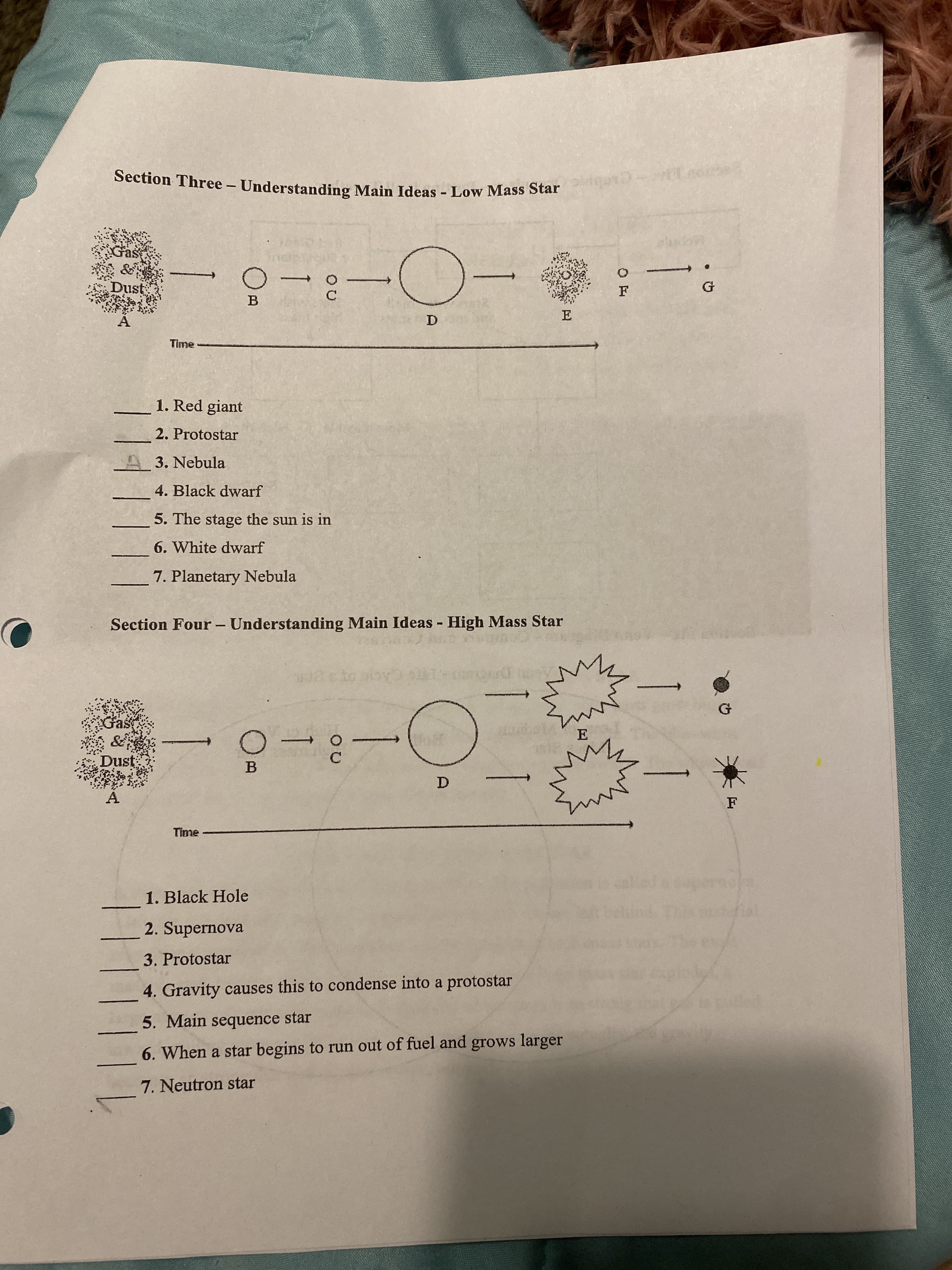 1141|1
Section Three - Understanding Main Ideas Low Mass Star
Dust
C.
--0-
1. Red giant
2. Protostar
A3. Nebula
4. Black dwarf
5. The stage the sun is in
6. White dwarf
7. Planetary Nebula
Section Four - Understanding Main Ideas High Mass Star
నా
Dust
B.
1. Black Hole
2. Supernova
3. Protostar
4. Gravity causes this to condense into a protostar
5. Main sequence star
6. When a star begins to run out of fuel and grows larger
7. Neutron star
