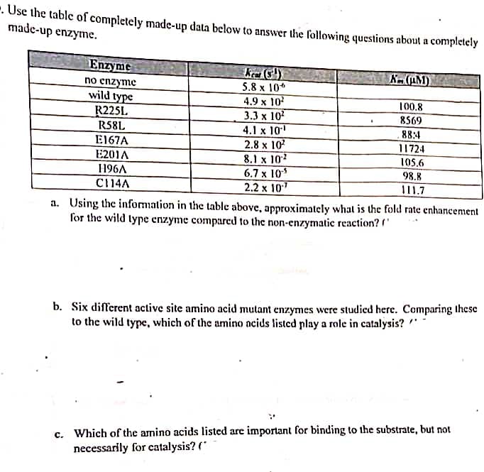 . Use the table of completely made-up data below to answer the following questions about a completely
made-up enzyme.
Enzyme
no enzyme
wild type
R225L
R58L
E167A
K(AM)
5.8 x 10*
4.9 x 10
3.3 х 10
4.1 x 10
2.8 x 10
8.1 x 102
6.7 x 10
2.2 x 10
100.8
8569
88:4
11724
E201A
105.6
196л
98.8
C14A
TI1.7
a. Using the information in the table above, approximately what is the fold rate enhancement
for the wild type enzyme compared to the non-enzymatic reaction? '
b. Six different active site amino acid mutant enzymes were studied here. Comparing these
to the wild type, which of the amino acids listed play a role in catalysis? "
c. Which of the amino acids listed are important for binding to the substrate, but not
necessarily for catalysis? ("
