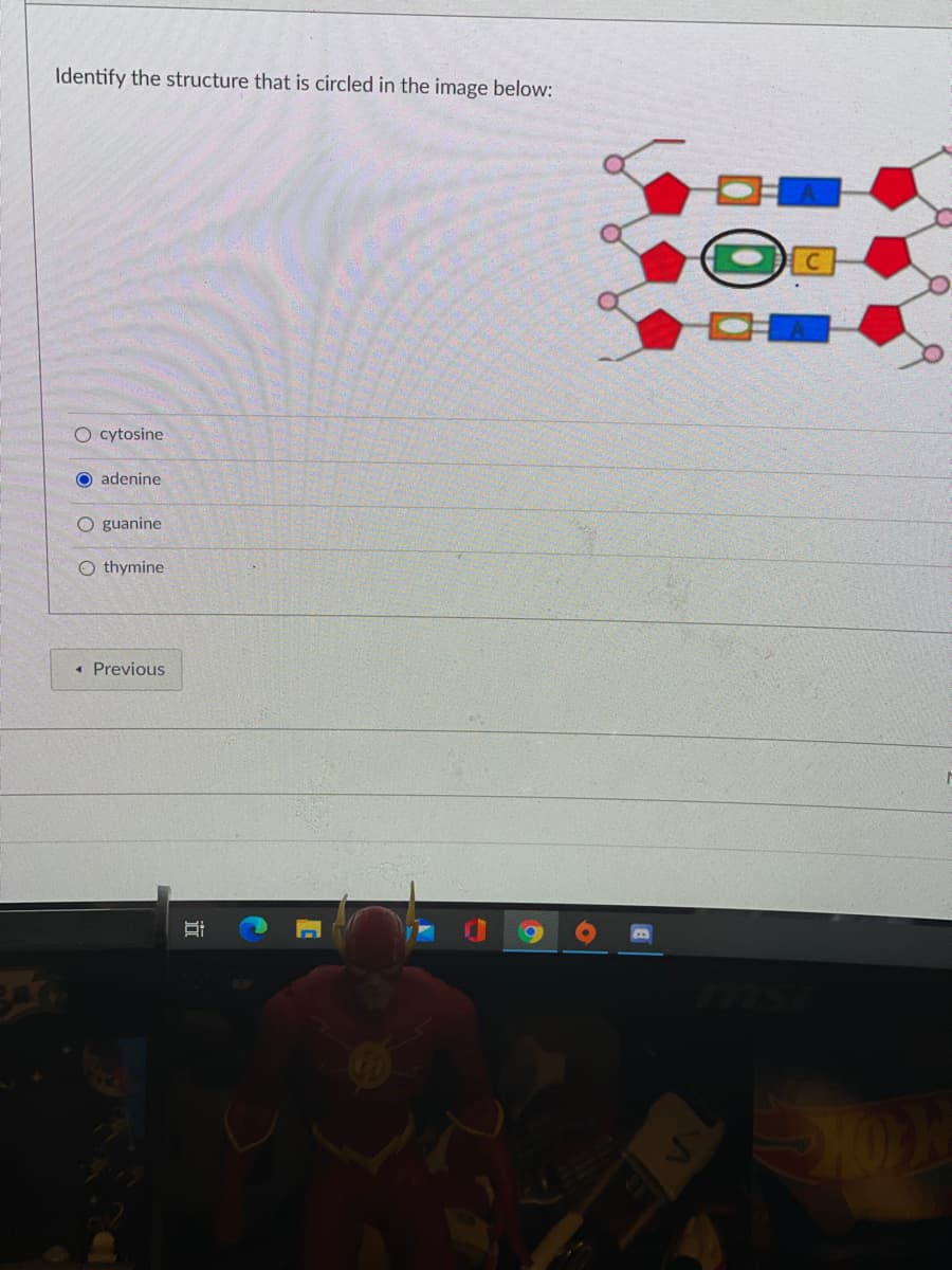 Identify the structure that is circled in the image below:
O cytosine
O adenine
O guanine
O thymine
« Previous
