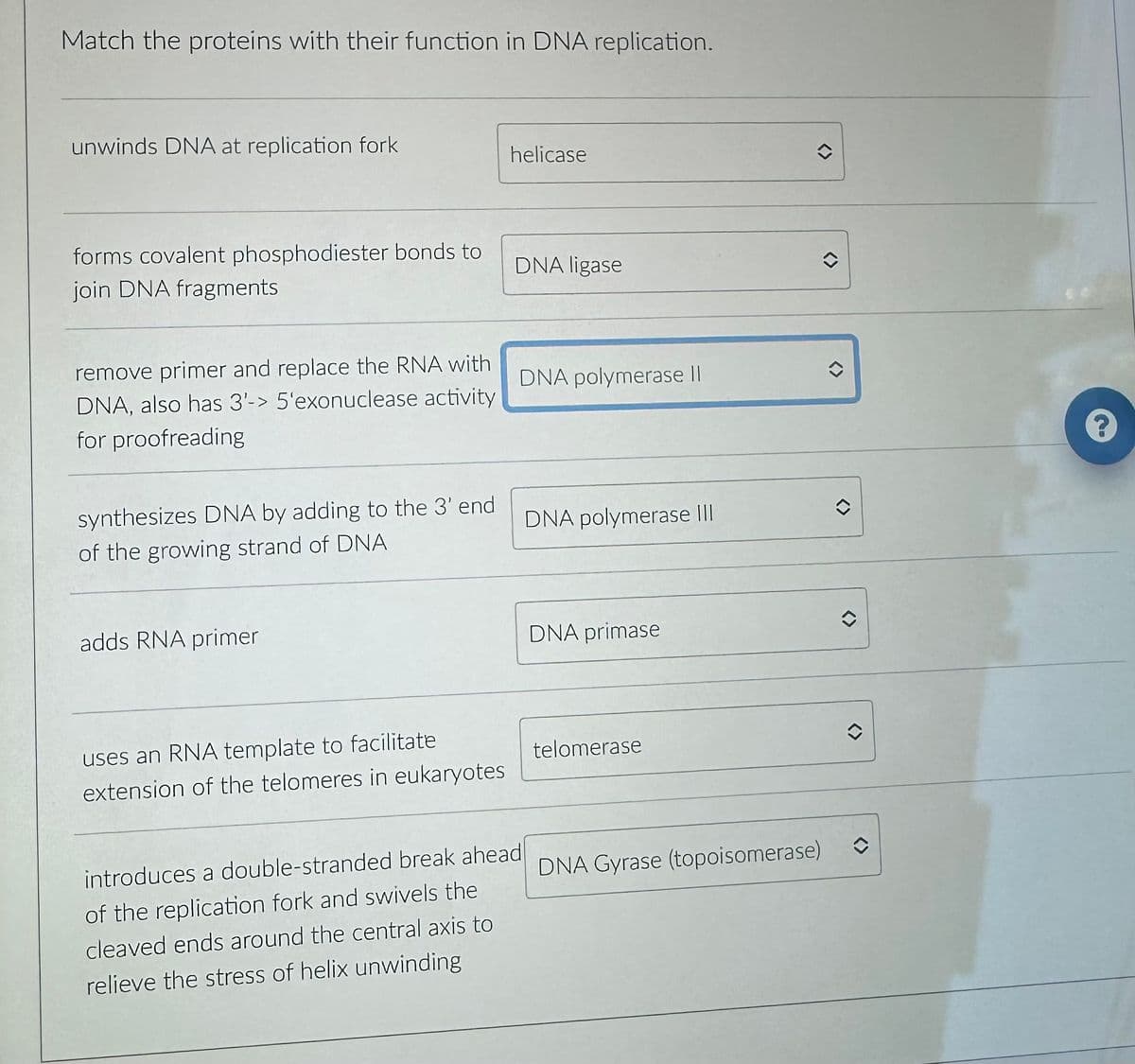 Match the proteins with their function in DNA replication.
unwinds DNA at replication fork
forms covalent phosphodiester bonds to
join DNA fragments
remove primer and replace the RNA with
DNA, also has 3'-> 5'exonuclease activity
for proofreading
synthesizes DNA by adding to the 3' end
of the growing strand of DNA
adds RNA primer
uses an RNA template to facilitate
extension of the telomeres in eukaryotes
helicase
DNA ligase
DNA polymerase II
introduces a double-stranded break ahead
of the replication fork and swivels the
cleaved ends around the central axis to
relieve the stress of helix unwinding
DNA polymerase III
DNA primase
telomerase
DNA Gyrase (topoisomerase)