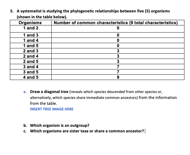 5. A systematist is studying the phylogenetic relationships between five (5) organisms
(shown in the table below).
Number of common characteristics (9 total characteristics)
Organisms
1 and 2
1 and 3
1 and 4
1 and 5
2 and 3
2 and 4
2 and 5
3 and 4
7
3 and 5
7
4 and 5
a. Draw a diagonal tree (reveals which species descended from other species or,
alternatively, which species share immediate common ancestors) from the information
from the table.
INSERT TREE IMAGE HERE
b. Which organism is an outgroup?
c. Which organisms are sister taxa or share a common ancestor?|
