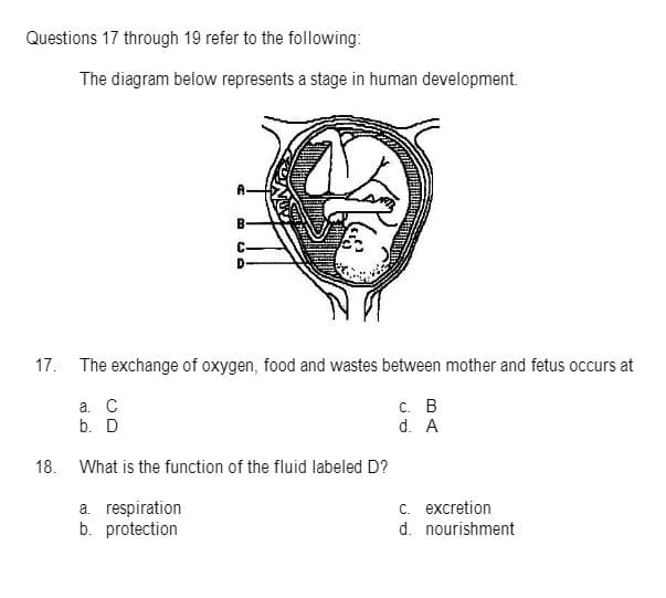 Questions 17 through 19 refer to the following:
The diagram below represents a stage in human development.
B
C
17. The exchange of oxygen, food and wastes between mother and fetus occurs at
а. С
b. D
с. В
d. A
18. What is the function of the fluid labeled D?
a. respiration
b. protection
c. excretion
d. nourishment
