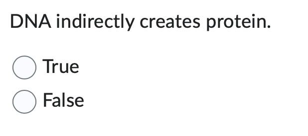 DNA indirectly creates protein.
O True
O False