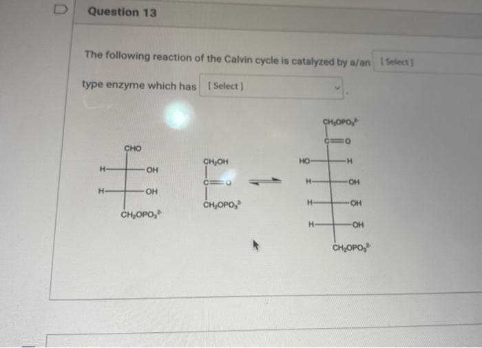 Question 13
The following reaction of the Calvin cycle is catalyzed by a/an [Select]
type enzyme which has [Select]
CHO
CH₂OH
H-
OH
€ E
H-
OH
CH₂OPO,
CH₂OPO,
HO
H-
H
H-
CH₂OPO,
010
H
-OH
OH
-OH
CH₂OPO,