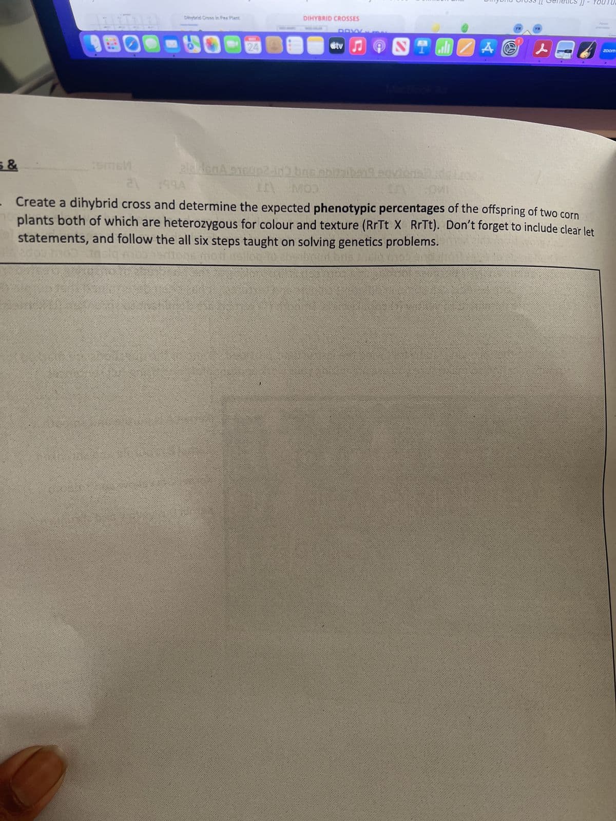 5 &
:56M
*******
24
DIHYBRID CROSSES
DRV
0
Stv
T alı A @
zladenA 9160p2-id2 bns obidalbaneoviene da
II\ MOD
YR
21
$59A
...
Create a dihybrid cross and determine the expected phenotypic percentages of the offspring of two corn
plants both of which are heterozygous for colour and texture (RrTt X RrTt). Don't forget to include clear let
statements, and follow the all six steps taught on solving genetics problems.
insig
moni nellog:
bna.
zoom