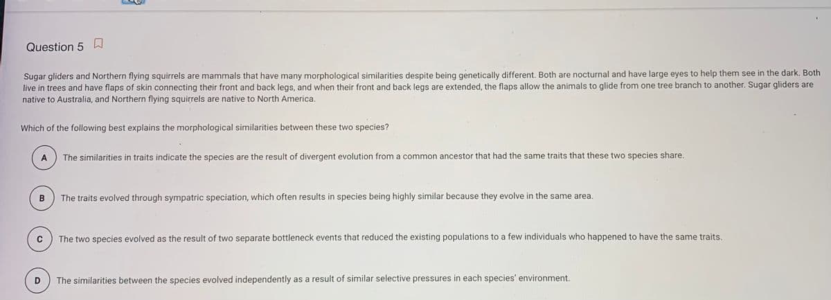 Question 5 W
Sugar gliders and Northern flying squirrels are mammals that have many morphological similarities despite being genetically different. Both are nocturnal and have large eyes to help them see in the dark. Both
live in trees and have flaps of skin connecting their front and back legs, and when their front and back legs are extended, the flaps allow the animals to glide from one tree branch to another. Sugar gliders are
native to Australia, and Northern flying squirrels are native to North America.
Which of the following best explains the morphological similarities between these two species?
A
The similarities in traits indicate the species are the result of divergent evolution from a common ancestor that had the same traits that these two species share.
The traits evolved through sympatric speciation, which often results in species being highly similar because they evolve in the same area.
C
The two species evolved as the result of two separate bottleneck events that reduced the existing populations to a few individuals who happened to have the same traits.
D
The similarities between the species evolved independently as a result of similar selective pressures in each species' environment.
