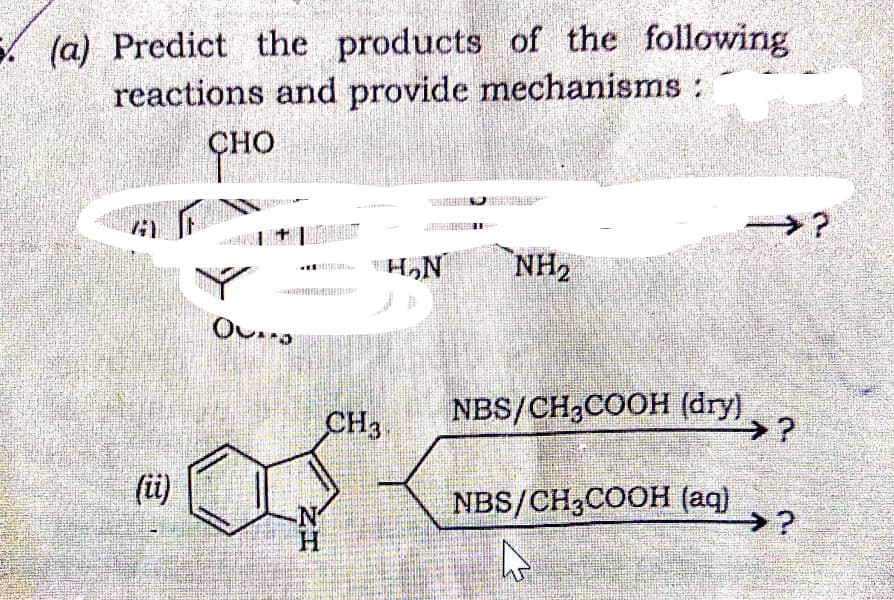 (a) Predict the products of the following
reactions and provide mechanisms :
CHO
(ii)
Ova
N
H
EIR
CH3
H₂N
NH₂
NBS/CH₂COOH (dry)
NBS/CH3COOH (aq)
h
>?
>?