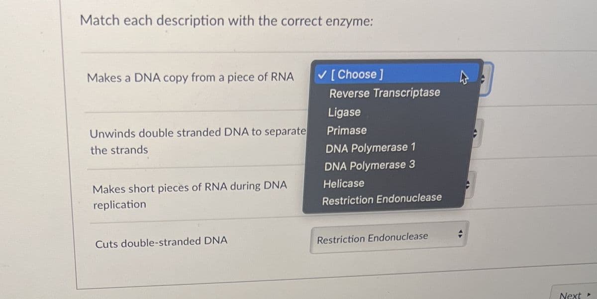 Match each description with the correct enzyme:
Makes a DNA copy from a piece of RNA
Unwinds double stranded DNA to separate
the strands
Makes short pieces of RNA during DNA
replication
Cuts double-stranded DNA
✓ [Choose ]
Reverse Transcriptase
Ligase
Primase
DNA Polymerase 1
DNA Polymerase 3
Helicase
Restriction Endonuclease
Restriction Endonuclease
4
Next >