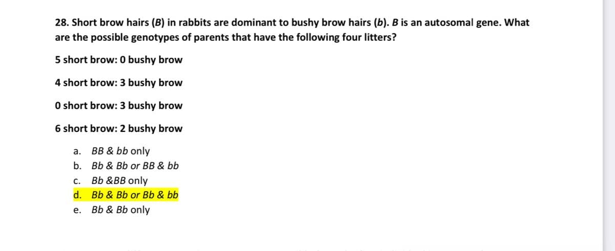 28. Short brow hairs (B) in rabbits are dominant to bushy brow hairs (b). B is an autosomal gene. What
are the possible genotypes of parents that have the following four litters?
5 short brow: 0 bushy brow
4 short brow: 3 bushy brow
0 short brow: 3 bushy brow
6 short brow: 2 bushy brow
a.
BB & bb only
b.
Bb & Bb or BB & bb
C.
Bb &BB only
d. Bb & Bb or Bb & bb
e.
Bb & Bb only