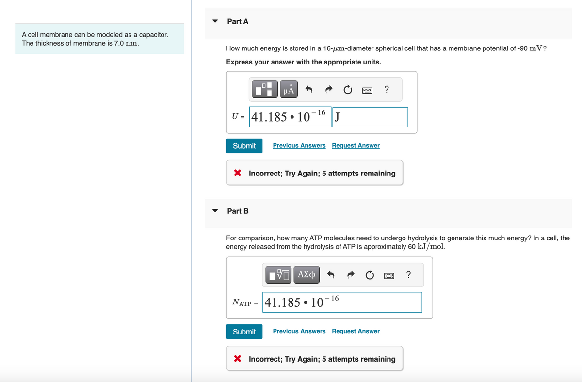 A cell membrane can be modeled as a capacitor.
The thickness of membrane is 7.0 nm.
Part A
How much energy is stored in a 16-μm-diameter spherical cell that has a membrane potential of -90 mV?
Express your answer with the appropriate units.
U= 41.185 10
●
Submit
μᾶ
Part B
=
16
Previous Answers Request Answer
X Incorrect; Try Again; 5 attempts remaining
ΠΫΠΙ ΑΣΦ
VE
J
For comparison, how many ATP molecules need to undergo hydrolysis to generate this much energy? In a cell, the
energy released from the hydrolysis of ATP is approximately 60 kJ/mol.
NATP 41.185 107
●
?
16
Submit Previous Answers Request Answer
X Incorrect; Try Again; 5 attempts remaining
?