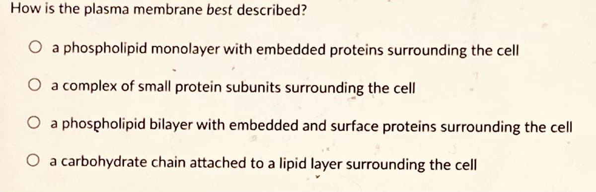 How is the plasma membrane best described?
O a phospholipid monolayer with embedded proteins surrounding the cell
O a complex of small protein subunits surrounding the cell
O a phospholipid bilayer with embedded and surface proteins surrounding the cell
O a carbohydrate chain attached to a lipid layer surrounding the cell
