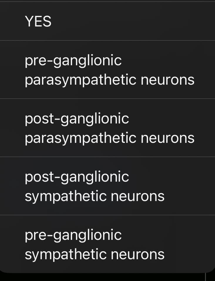 YES
pre-ganglionic
parasympathetic neurons
post-ganglionic
parasympathetic neurons
post-ganglionic
sympathetic neurons
pre-ganglionic
sympathetic neurons