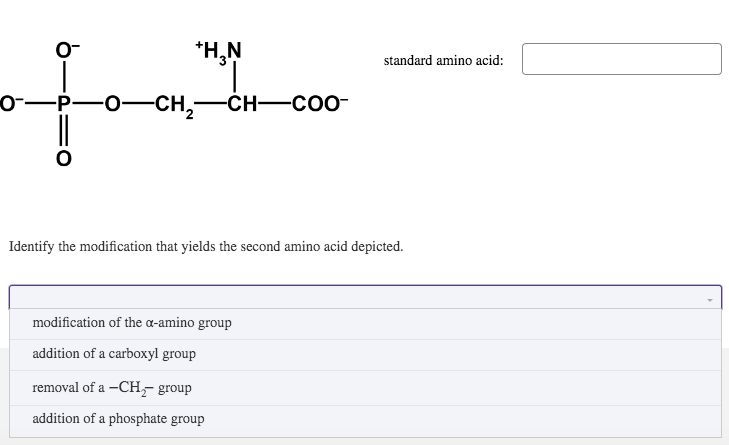 +H₂N
-O-P- -O- -CH₂-CH-COO-
O-
Identify the modification that yields the second amino acid depicted.
modification of the a-amino group
addition of a carboxyl group
standard amino acid:
removal of a -CH₂-group
addition of a phosphate group