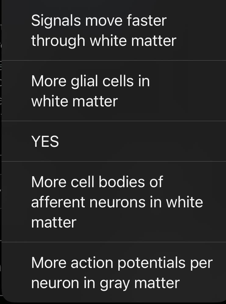 Signals move faster
through white matter
More glial cells in
white matter
YES
More cell bodies of
afferent neurons in white
matter
More action potentials per
neuron in gray matter