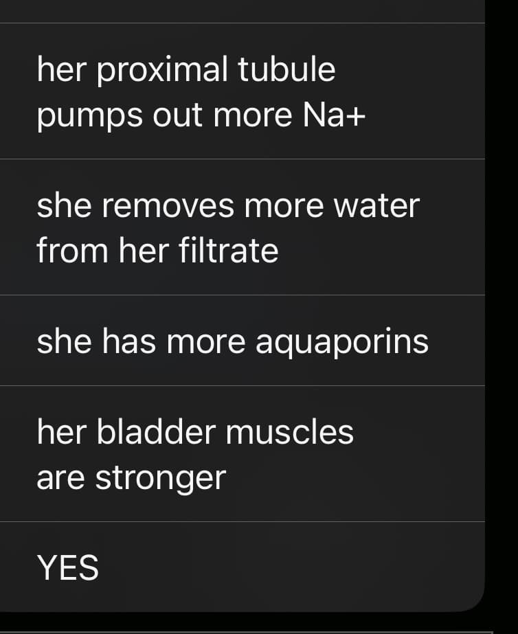her proximal tubule
pumps out more Na+
she removes more water
from her filtrate
she has more aquaporins
her bladder muscles
are stronger
YES