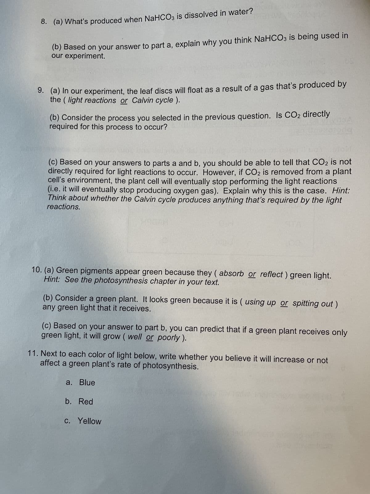 8. (a) What's produced when NaHCO3 is dissolved in water?
(b) Based on your answer to part a, explain why you think NaHCO3 is being used in
our experiment.
9. (a) In our experiment, the leaf discs will float as a result of a gas that's produced by
the (light reactions or Calvin cycle ).
(b) Consider the process you selected in the previous question. Is CO2 directly
required for this process to occur?
(c) Based on your answers to parts a and b, you should be able to tell that CO2 is not
directly required for light reactions to occur. However, if CO2 is removed from a plant
cell's environment, the plant cell will eventually stop performing the light reactions
(i.e. it will eventually stop producing oxygen gas). Explain why this is the case. Hint:
Think about whether the Calvin cycle produces anything that's required by the light
reactions.
10. (a) Green pigments appear green because they (absorb or reflect) green light.
Hint: See the photosynthesis chapter in your text.
any green light that it receives.
(b) Consider a green plant. It looks green because it is ( using up or spitting out)
(c) Based on your answer to part b, you can predict that if a green plant receives only
green light, it will grow (well or poorly).
11. Next to each color of light below, write whether you believe it will increase or not
affect a green plant's rate of photosynthesis.
a. Blue
b. Red
c. Yellow