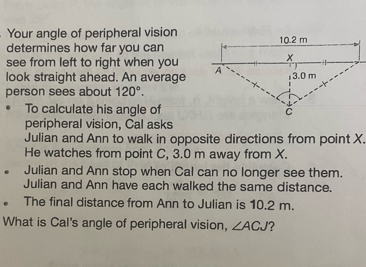 Your angle of peripheral vision
determines how far you can
see from left to right when you
look straight ahead. An average
person sees about 120°.
To calculate his angle of
peripheral vision, Cal asks
A
10.2 m
X
13.0 m
Julian and Ann to walk in opposite directions from point X.
He watches from point C, 3.0 m away from X.
. Julian and Ann stop when Cal can no longer see them.
Julian and Ann have each walked the same distance.
The final distance from Ann to Julian is 10.2 m.
What is Cal's angle of peripheral vision, ZACJ?
