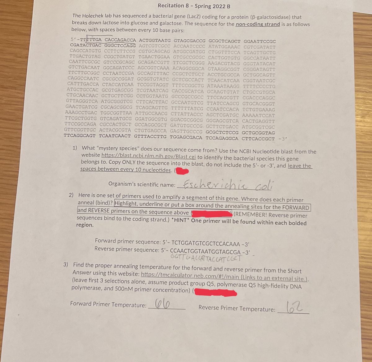 Recitation 8 - Spring 2022 B
The Holechek lab has sequenced a bacterial gene (LacZ) coding for a protein (ß-galactosidase) that
breaks down lactose into glucose and galactose. The sequence for the non-coding strand is as follows
below, with spaces between every 10 base pairs:
5'-TTTTTGA CACCAGACCA ACTGGTAATG GTAGCGACCG GCGCTCAGCT GGAATTCCGC
CGATACTGAC GGGCTCCAGG AGTCGTCGCC ACCAATCCCC ATATGGAAAC CGTCGATATT
CAGCCATGTG CCTTCTTCCG CGTGCAGCAG ATGGCGATGG CTGGTTTCCA TCAGTTGCTG
TTGACTGTAG CGGCTGATGT TGAACTGGAA GTCGCCGCGC CACTGGTGTG GGCCATAATT
CAATTCGCGC GTCCCGCAGC GCAGACCGTT TTCGCTCGGG AAGACGTACG GGGTATACAT
GTCTGACAAT GGCAGATCCC AGCGGTCAAA ACAGGCGGCA GTAAGGCGGT CGGGATAGTT
TTCTTGCGGC CCTAATCCGA GCCAGTTTAC CCGCTCTGCT ACCTGCGCCA GCTGGCAGTT
CAGGCCAATC CGCGCCGGAT GCGGTGTATC GCTCGCCACT TCAACATCAA CGGTAATCGC
CATTTGACCA CTACCATCAA TCCGGTAGGT TTTCCGGCTG ATAAATAAGG TTTTCCCCTG
ATGCTGCCAC GCGTGAGCGG TCGTAATCAG CACCGCATCA GCAAGTGTAT CTGCCGTGCA
CTGCAACAAC GCTGCTTCGG CCTGGTAATG GCCCGCCGCC TTCCAGCGTT CGACCCAGGC
GTTAGGGTCA ATGCGGGTCG CTTCACTTAC GCCAATGTCG TTATCCAGCG GTGCACGGGT
GAACTGATCG CGCAGCGGCG TCAGCAGTTG TTTTTTATCG CCAATCCACA TCTGTGAAAG
AAAGCCTGAC TGGCGGTTAA ATTGCCAACG CTTATTACCC AGCTCGATGC AAAAATCCAT
TTCGCTGGTG GTCAGATGCG GGATGGCGTG GGACGCGGCG GGGAGCGTCA CACTGAGGTT
TTCCGCCAGA CGCCACTGCT GCCAGGCGCT GATGTGCCCG. GCTTCTGACC ATGCGGTCGC
GTTCGGTTGC ACTACGCGTA CTGTGAGCCA GAGTTGCCCG GCGCTCTCCG GCTGCGGTAG
TTCAGGCAGT TCAATCAACT GTTTACCTTG TGGAGCGACA TCCAGAGGCA CTTCACCGCT -3'
1) What "mystery species" does our sequence come from? Use the NCBI Nucleotide blast from the
website https://blast.ncbi.nlm.nih.gov/Blast.cgi to identify the bacterial species this gene
belongs to. Copy ONLY the sequence into the blast, do not include the 5'- or -3', and leave the
spaces between every 10 nucleotides.
Organism's scientific name:
Escherichia coli
2) Here is one set of primers used to amplify a segment of this gene. Where does each primer
anneal (bind)? Highlight, underline or put a box around the annealing sites for the FORWARD
and REVERSE primers on the sequence above
(REMEMBER! Reverse primer
sequences bind to the coding strand.) *HINT* One primer will be found within each bolded
region.
Forward primer sequence: 5'- TCTGGATGTCGCTCCACAAA -3'
Reverse primer sequence: 5'- CCAACTGGTAATGGTAGCGA -3'
вать ассаттассат сост
3) Find the proper annealing temperature for the forward and reverse primer from the Short
Answer using this website: https://tmcalculator.neb.com/#!/main (Links to an external site.).
(leave first 3 selections alone, assume product group Q5, polymerase Q5 high-fidelity DNA
polymerase, and 500nM primer concentration) (
66
62
Forward Primer Temperature:
Reverse Primer Temperature: