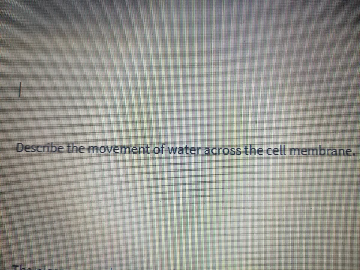 Describe the movement of water across the cell membrane.
