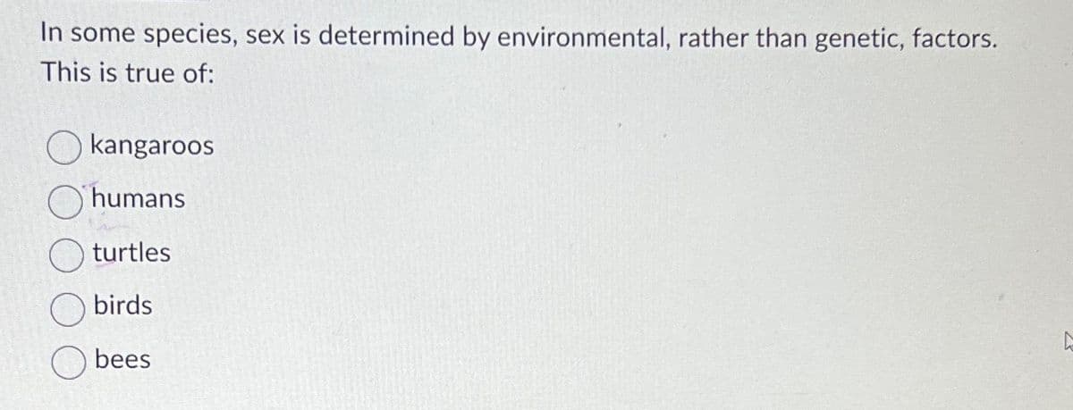 In some species, sex is determined by environmental, rather than genetic, factors.
This is true of:
kangaroos
humans
turtles
birds
bees