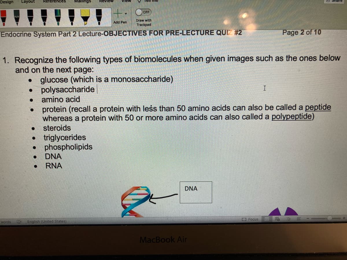 Design Layout References Mailings
words
●
●
Endocrine System Part 2 Lecture-OBJECTIVES FOR PRE-LECTURE QUIZ #2
●
1. Recognize the following types of biomolecules when given images such as the ones below
and on the next page:
● glucose (which is a monosaccharide)
● triglycerides
●
Review
phospholipids
DNA
● RNA
view
•
X English (United States)
Add Pen
OFF
Draw with
Trackpad
polysaccharide
amino acid
protein (recall a protein with less than 50 amino acids can also be called a peptide
whereas a protein with 50 or more amino acids can also called a polypeptide)
steroids
DNA
MacBook Air
I
Focus
Page 2 of 10
ER